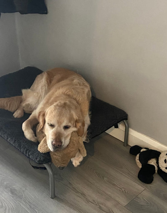 Black Check Cotton & Charcoal Luxury Cosy Topper