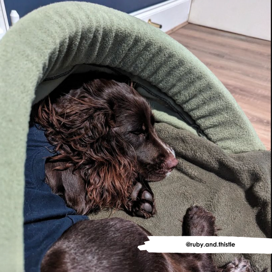 Foam hood entrance of HiK9 Snuggle Tunnel showing soft flexible design