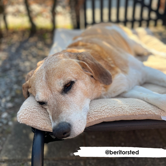 50% OFF Cream Sherpa & Neutral Cotton Luxury Reversible Pad