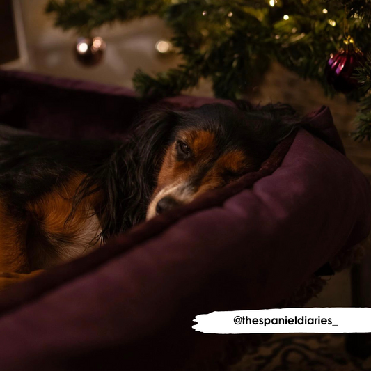 Mulberry Cuddle Soft & Plum Velvet Luxury Nest