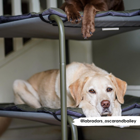 Olivgrünes und graues, wasserabweisendes, wendbares Pad