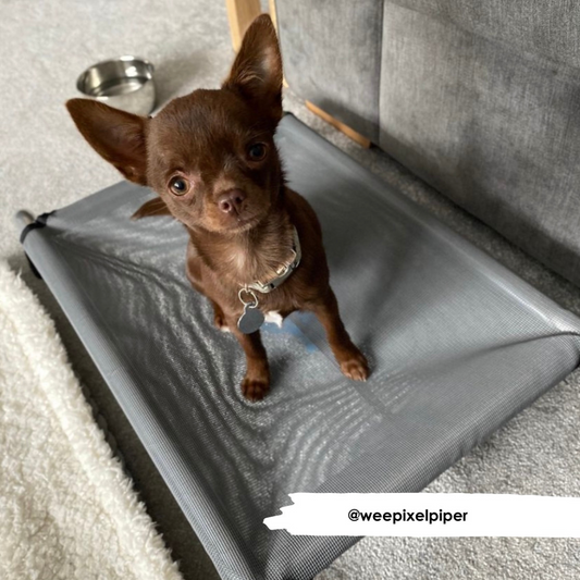 HiK9 Bed with Grey Mesh Cover - HiK9