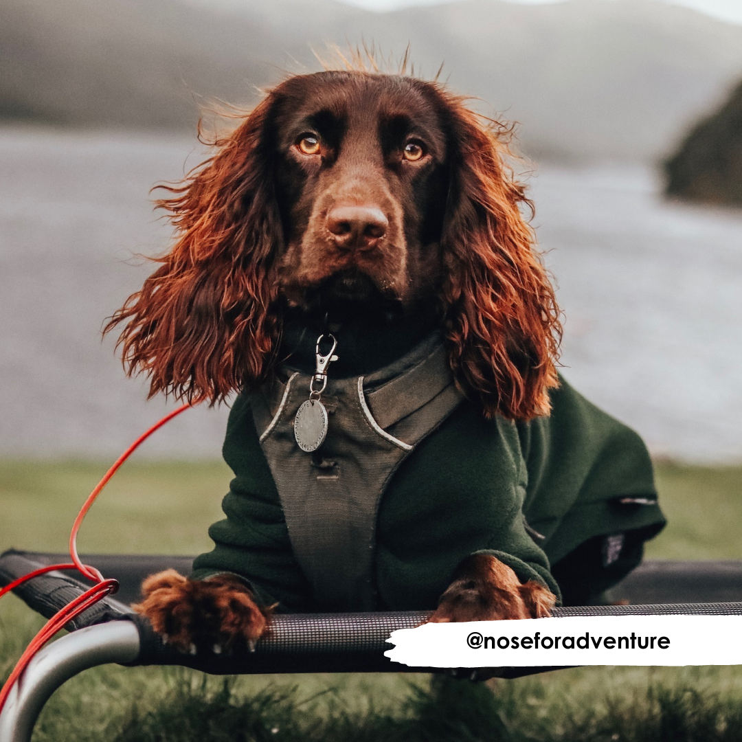 Schwarze Mesh-Abdeckung