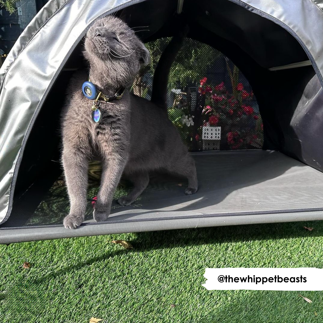 30% OFF Sunshade - HiK9