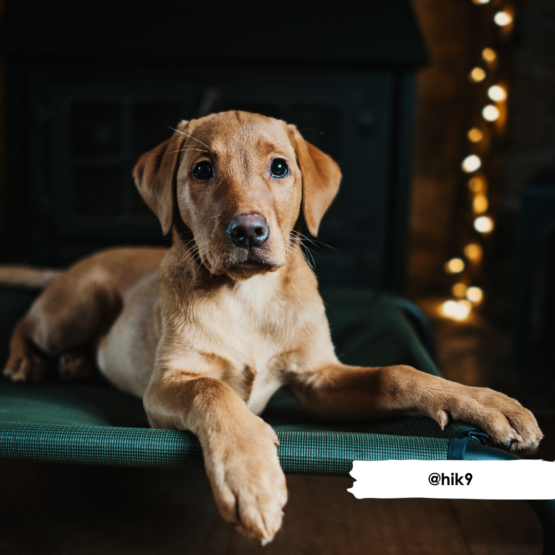 Housse en maille olive