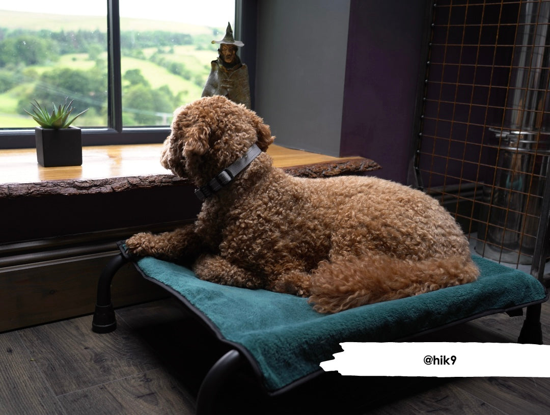 Teal Bamboo Towel Blanket