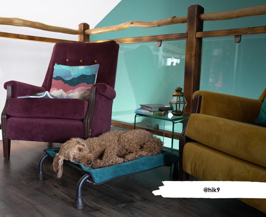 Teal Bamboo Towel Blanket