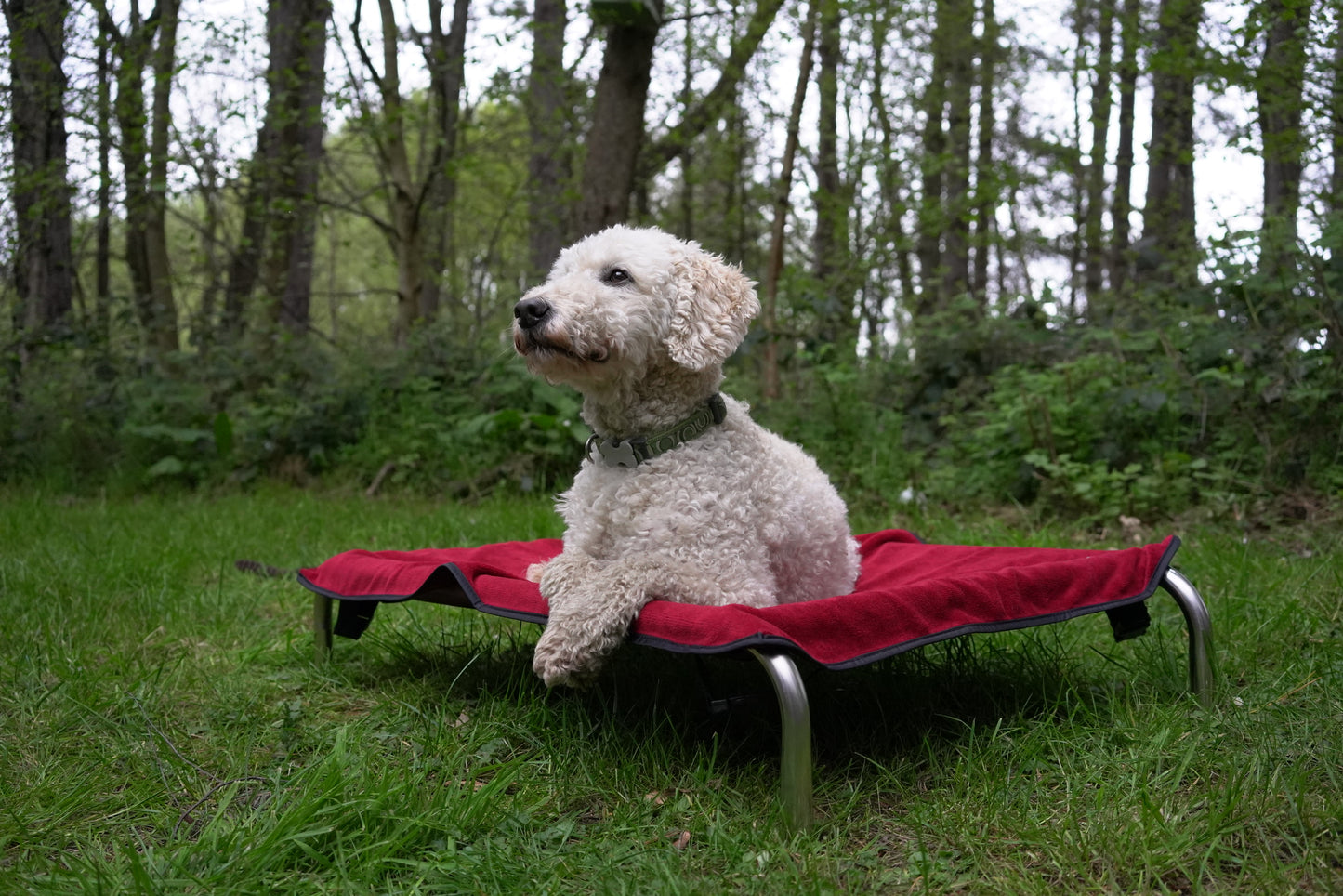 Wine Bamboo Towel Blanket