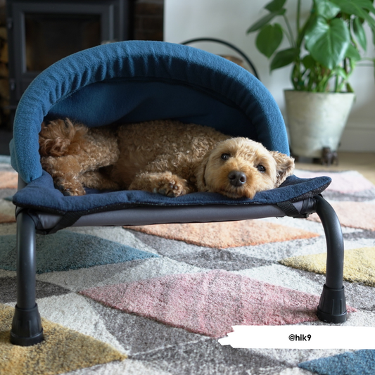 Navy & Denim Snuggle Tunnel