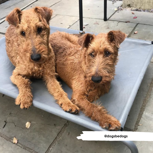 HiK9 Bed with Grey Mesh Cover