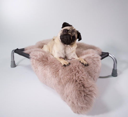 Mulberry Sheepskin - HiK9