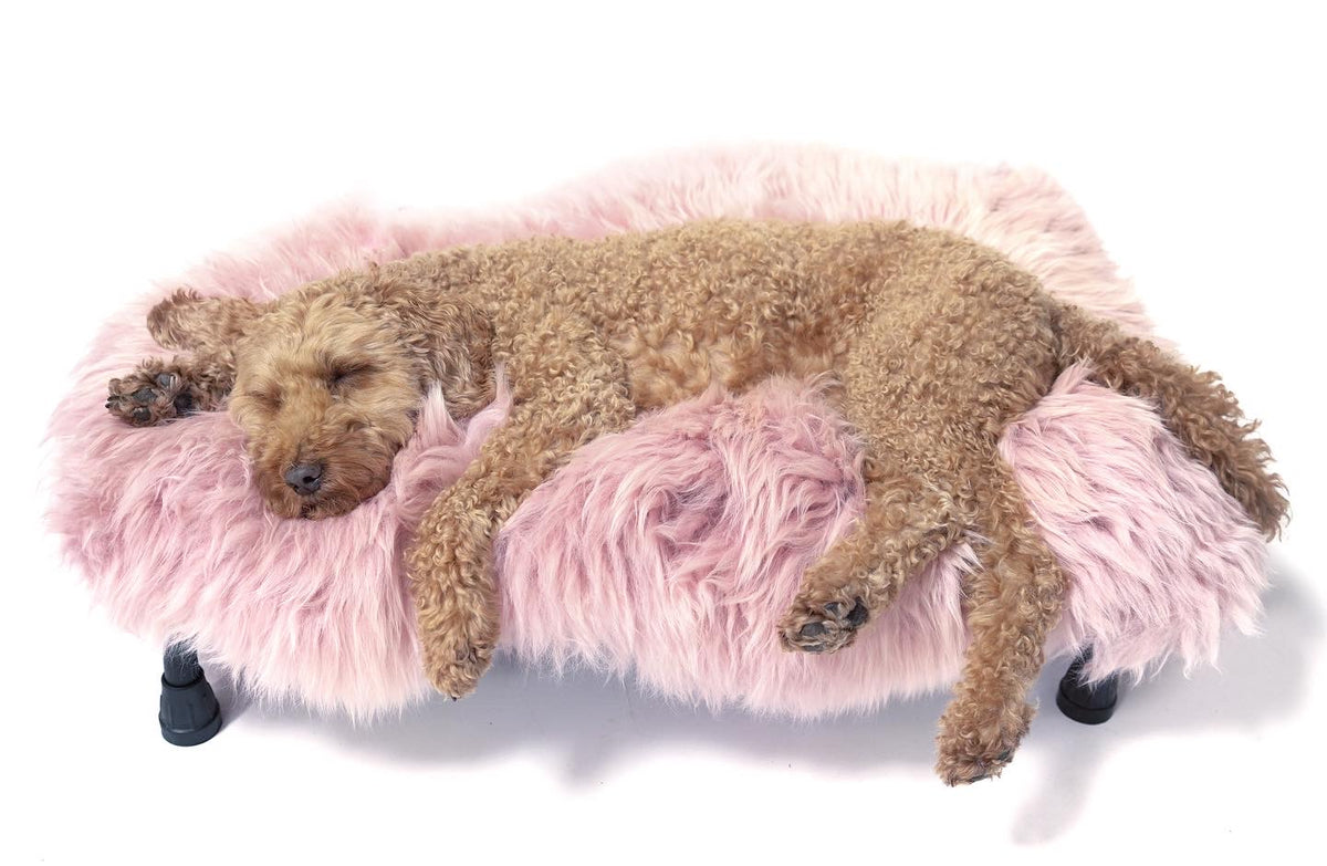Baby Pink Sheepskin - HiK9