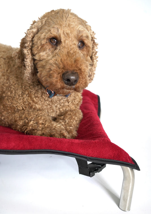 Wine Bamboo Towel Blanket