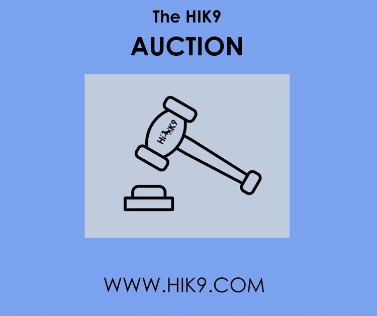 HIK9 Auction