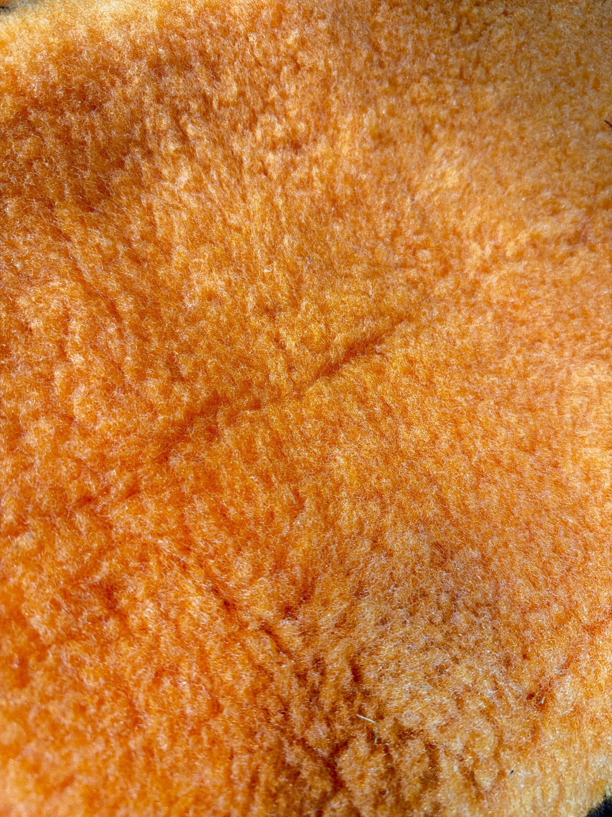 40% OFF Orange Cosy Sleeve