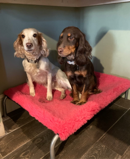 Hot Pink Cosy Sleeve