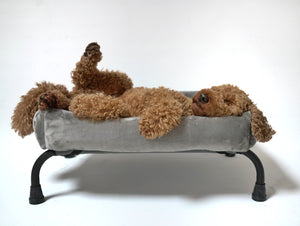 High online k9 beds
