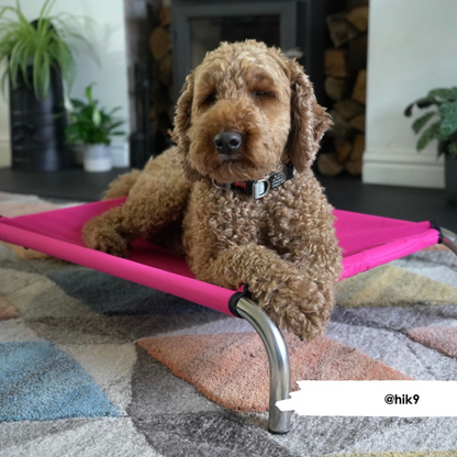 HiK9 Bed with Hot Pink Canvas Cover