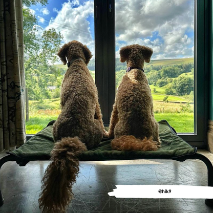 Olive Bamboo Towel Blanket