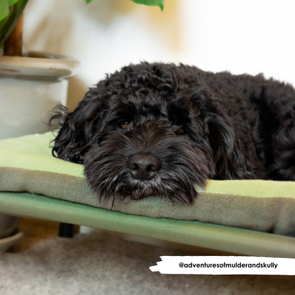 Avocado & New Olive Reversible Pad