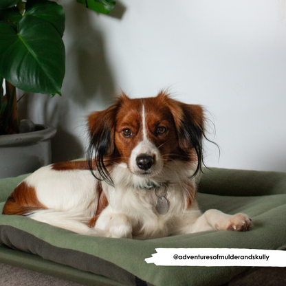 Avocado & New Olive Reversible Pad