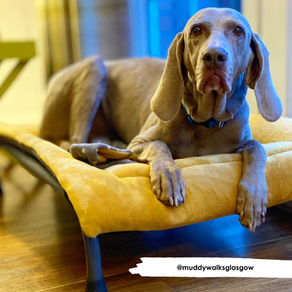 Mustard Cuddle Soft & Charcoal Velour Luxury Reversible Pad