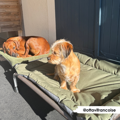 Olive & Grey Water Resistant Reversible Pad