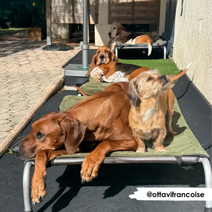 Olive Bamboo Towel Blanket