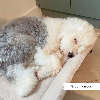 Wendbares Pad in Navy und Koralle