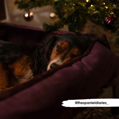 Mulberry Cuddle Soft & Plum Velvet Luxury Nest