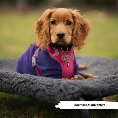 Houtskool Cosy Sleeve