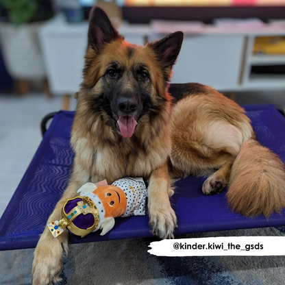 HiK9 Bett mit violettem Netzbezug