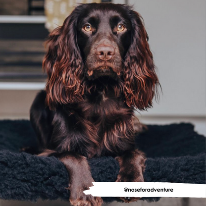 Manche douillette noire