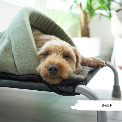 Avocado & New Olive Snuggle Tunnel