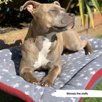 Grey White Star & Mulberry Reversible Pad