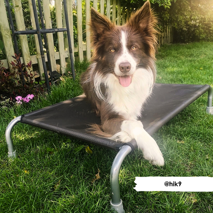 Chocolate Mesh Cover