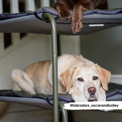 Olive & Grey Water Resistant Reversible Pad