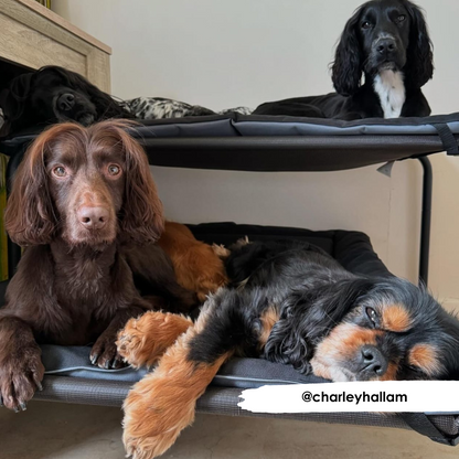 Bunk Bed Leg Extensions