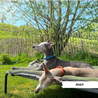 Olive Bamboo Towel Blanket