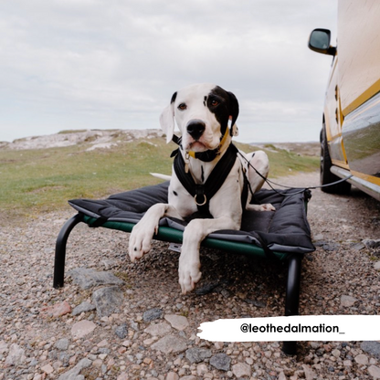 Zwart en grijs waterbestendig omkeerbaar kussen