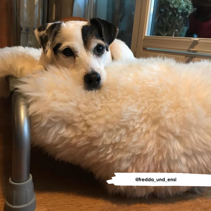 Ivory Sheepskin - HiK9