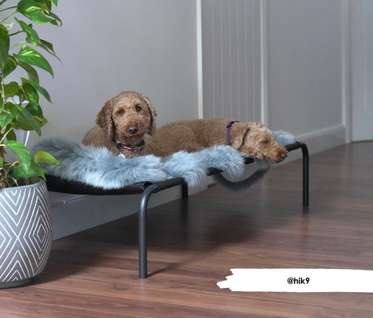 Double Grey Sheepskin