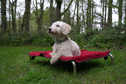 Wine Bamboo Towel Blanket