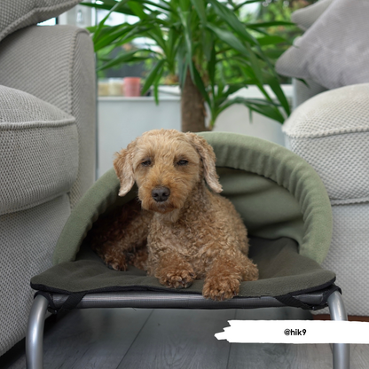 Avocado & New Olive Snuggle Tunnel