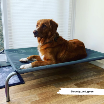 HiK9 Bed with Grey Mesh Cover - HiK9