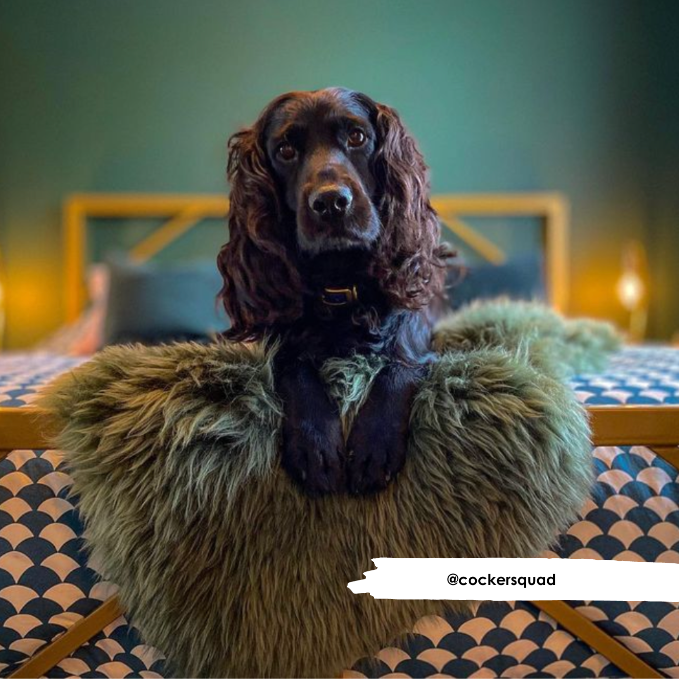 Mid Green Sheepskin - HiK9