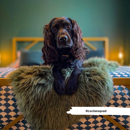 Mid Green Sheepskin - HiK9