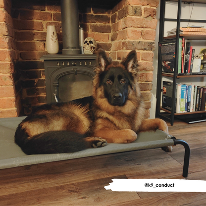 HiK9 Bed with Grey Mesh Cover - HiK9