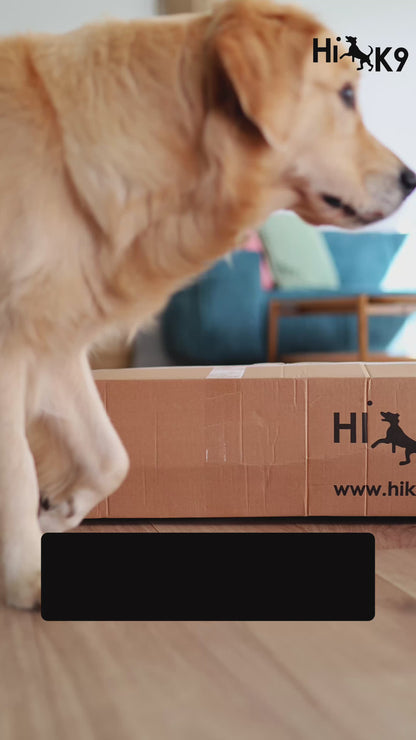 Lit HiK9 avec housse en maille olive