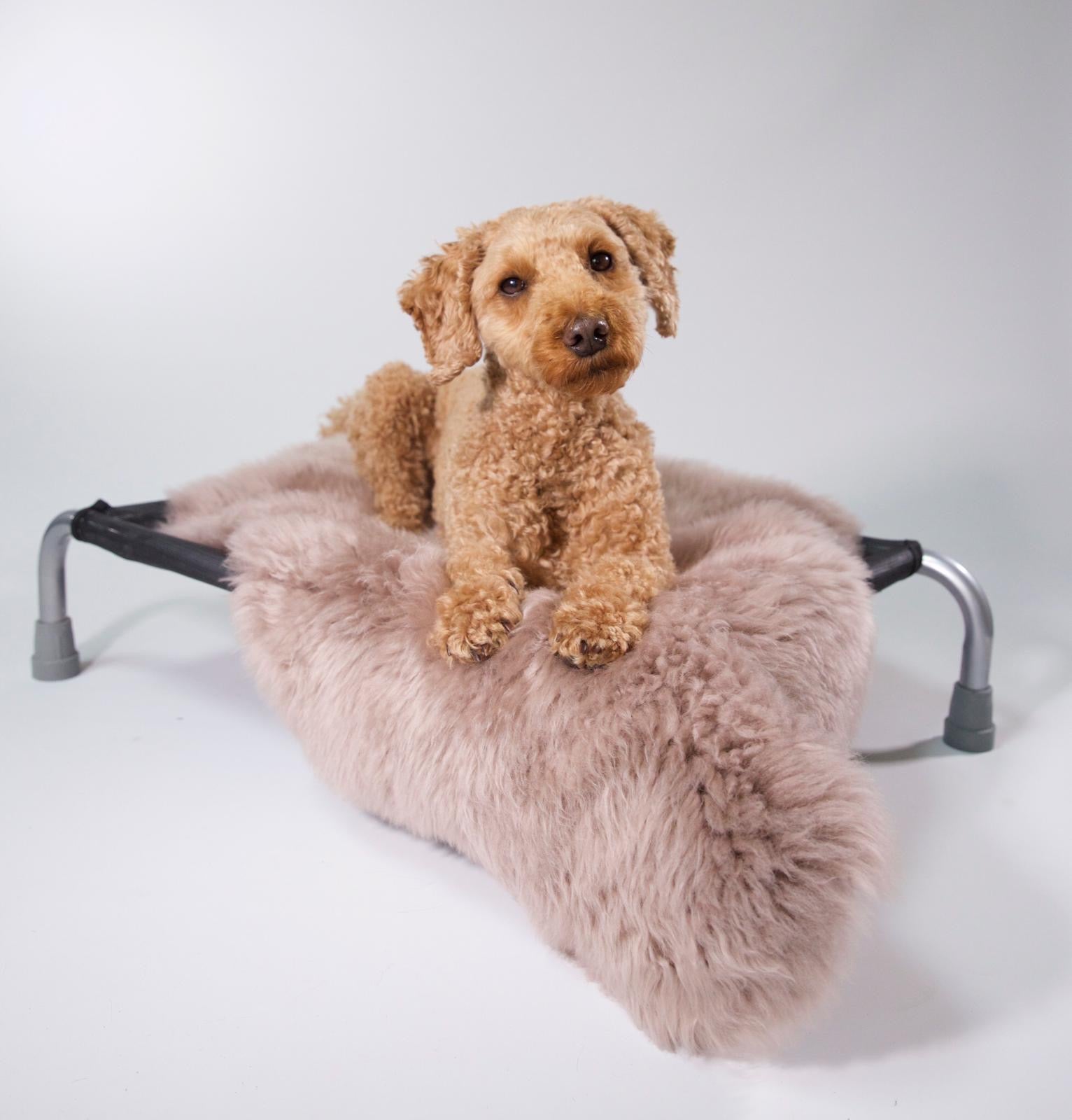 Light Oyster Sheepskin - HiK9